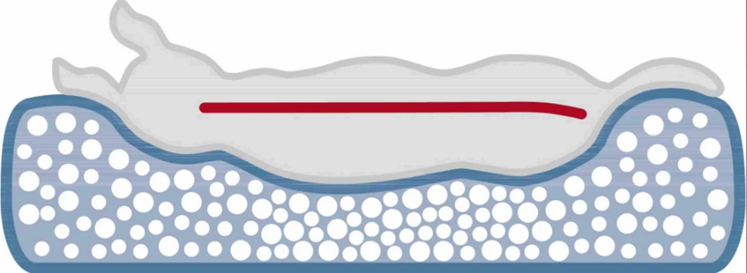 Trixie Vital Coussin Outbag Menthe Chien 90 X 60 Cm – Image 4