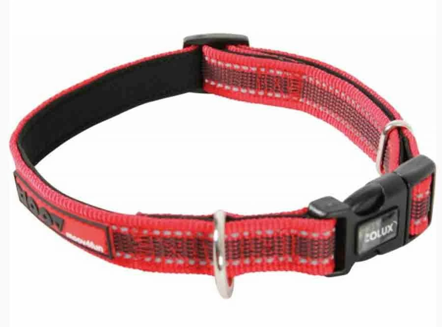 Zolux Collier Réglable MOOV Rouge 15 Mm – Image 3